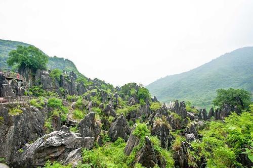 广西最壮观的石林，原生态的风景令人称奇，春节你想去看看吗？