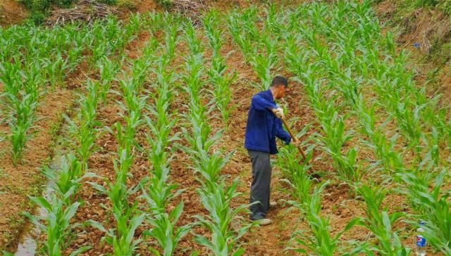  「后头」农村俗语“农民进城住新楼，好日子还在后头”，值得老