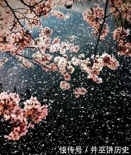  构图：你知道吗，春天拍花就要竖构图，拍出形态气质美