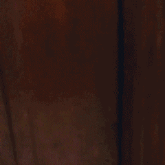 深圳“回南天”湿气重，房子都“哭”了!冷空气终于出招!