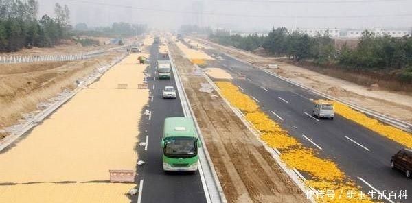  「秸秆」中秋后，村干部迎重点任务，2件事管不好要受罚，甚至取