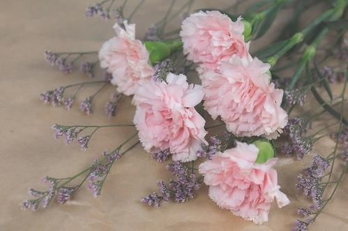  「母亲节鲜花」母亲节应该送什么花？母亲节送花送多少朵合适？