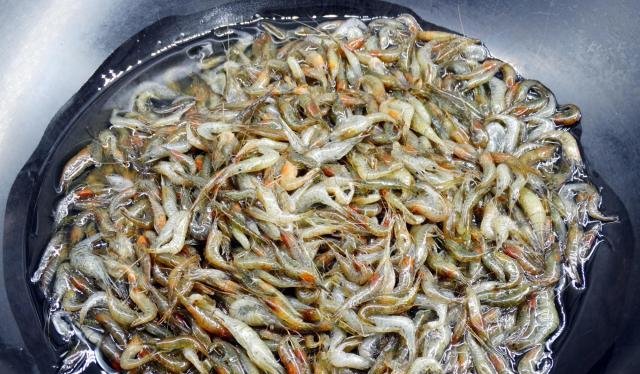  『高度白酒』小河虾挂糊炸，大错特错，加点这调料不挂糊，酥脆鲜香1天不回软！