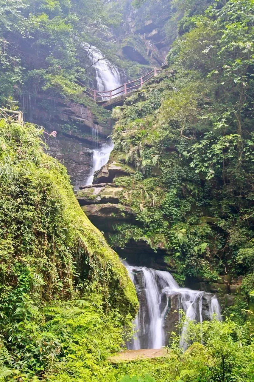 四川这座小城，叫板稻城亚丁，不输江南，藏着亚洲第一云海，高铁