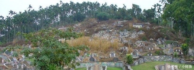  「取消」有专家建议取消土葬改为火葬，还美其名曰：对农民好，