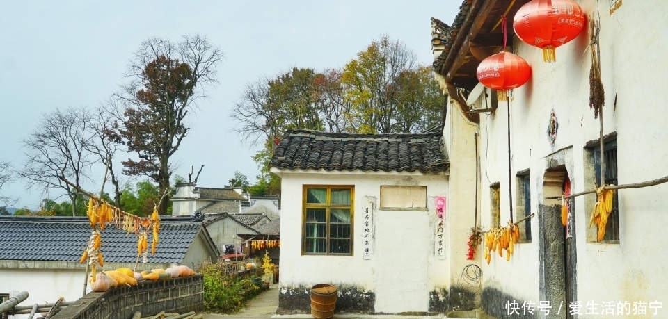 安徽最美秋色即将上线 三个人少景美的赏秋胜地 错过要再等一年