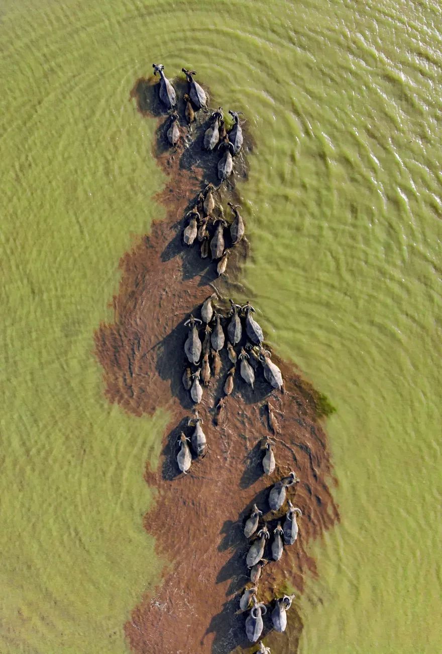 9 个月，130000 张照片，这个摄影奖公布了最终入围作品