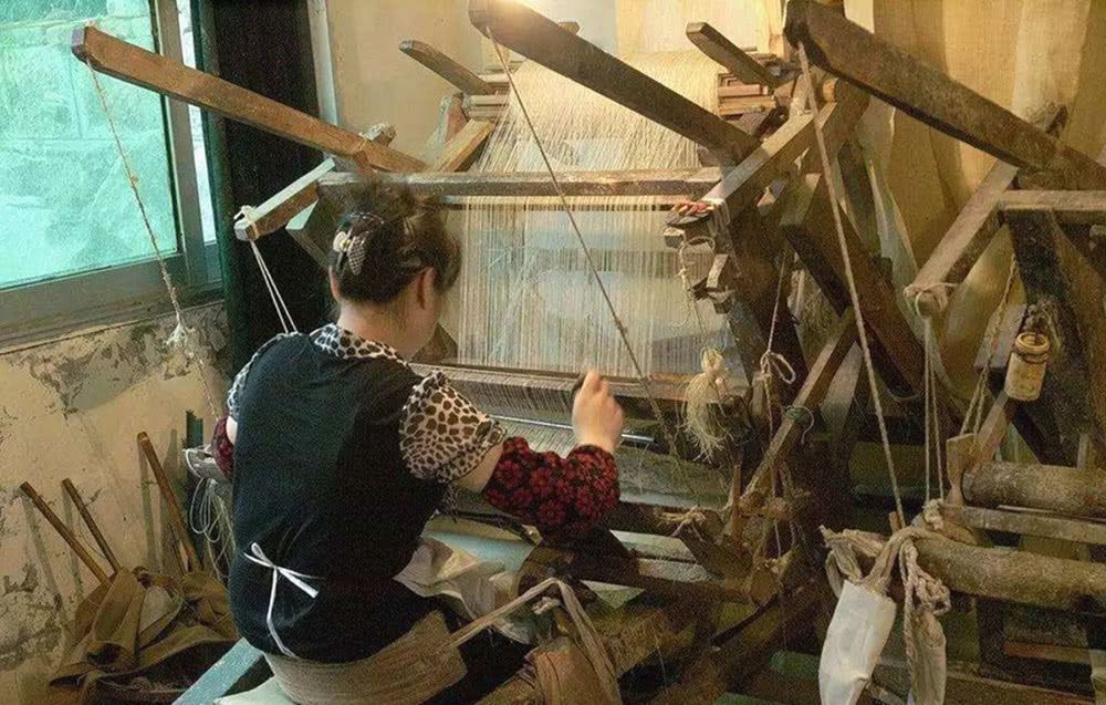  农村|一种植物“泛滥成灾”，农民成片铲除！只因没价值？