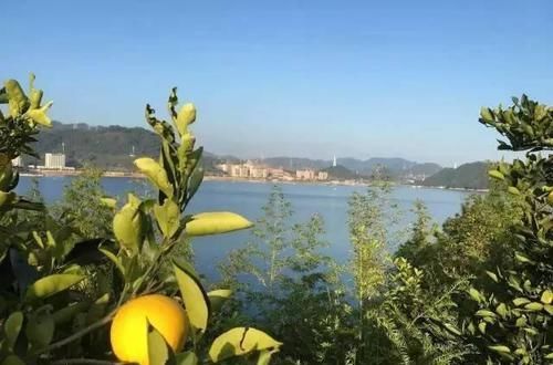  【岛上的破】40岁中年大叔，买下一座岛，将岛上破屋改造成豪宅，让人羡慕