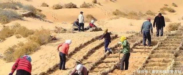 我国第七大沙漠，把黄河水引过去后，发生翻天覆地的变化