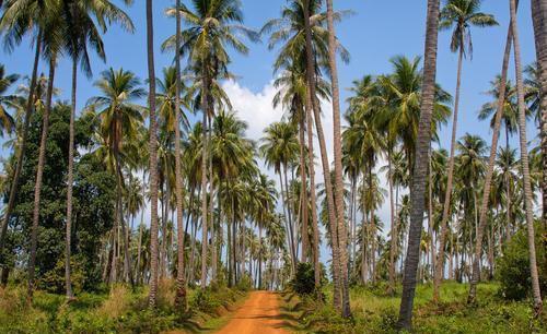 5000人民币可换23000泰铢，可以做什么？泰国美女说出实情