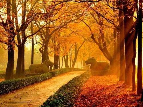 最适合拍汉服的4座城市，仿佛能穿越到古代，每一座都古色古香