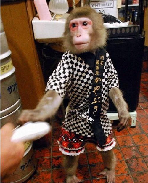 世界“奇特”的几个餐厅，一个在“鲸鱼肚里”，摸黑吃饭