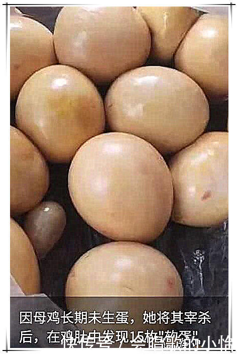 母鸡养了一年从不下蛋，大爷剖开鸡肚，鸡憋了多久的蛋也不下