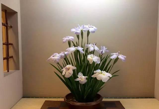  『阵子』42例插花欣赏！一辈子，总要插一次花！