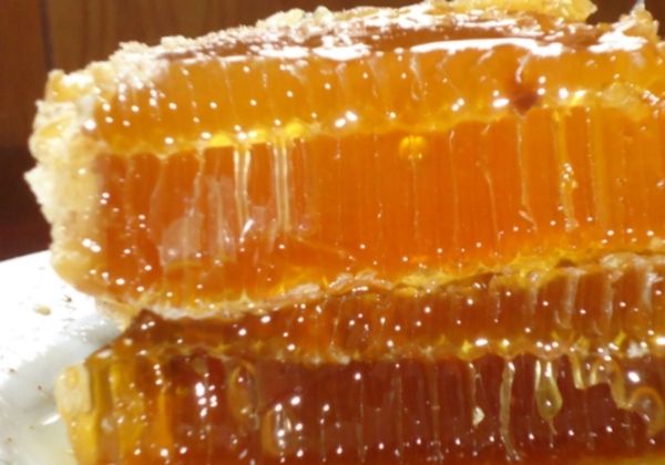  「皮肤」四物汤能有效的美白祛斑吗