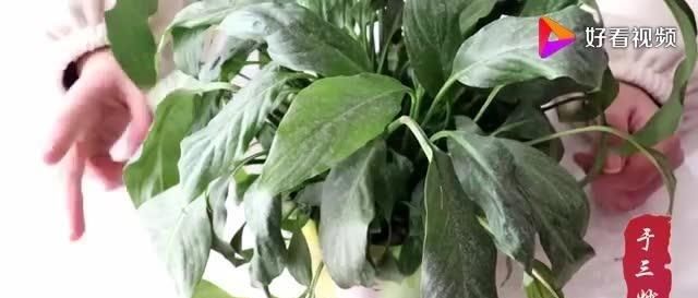  「宝宝」暖宝宝用完就扔太可惜，还有这几个作用，又能给家里省钱了