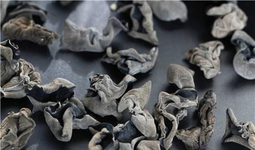  『露天』木耳种植难度大，温度湿度要控制，采摘也要注意咋办？