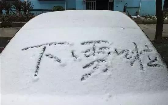 紧急提醒！河南今天预计320万辆车冒雪上路！返程的小伙伴这些信