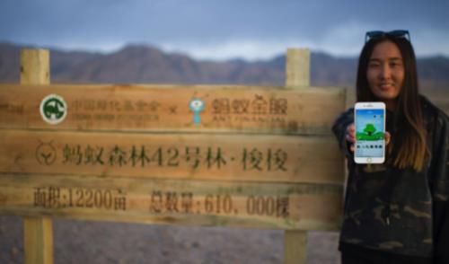  打造■马云“天价”打造蚂蚁森林终于结出果实！支付宝用户：每1