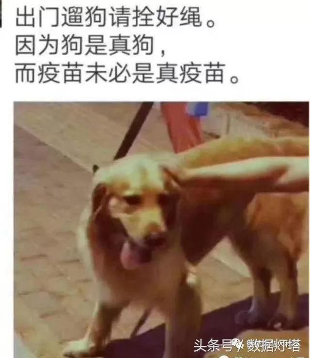 也谈疫苗，抛弃那些不靠谱的谣言：看看德国如何预防狂犬病