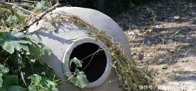  #老家#乡下过去的老物件，三十岁以下的农村人已经大半不认识啦