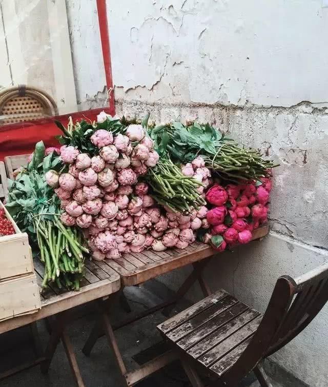  【荒度】我想开一间小店，从此荒度余生