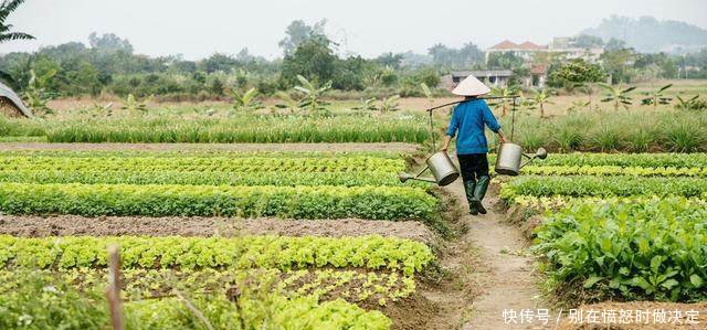 为什么现在农村越来越多的得癌症知道原因后，让人沉思！