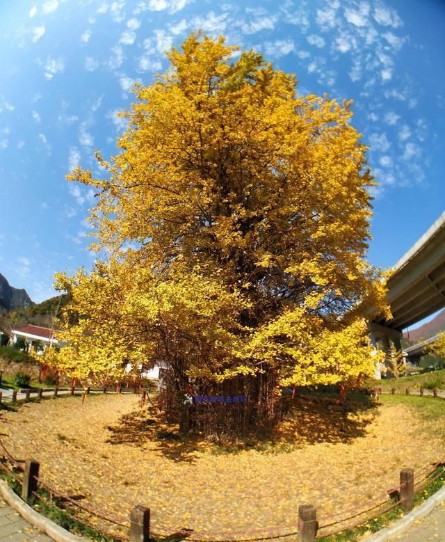 自驾中国最美公路高江路，车轮悬空差点掉河里，当地人居然这么做