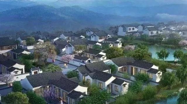 又一农业项目热得发烫，国家重点支持，专家:乡村振兴的新模式