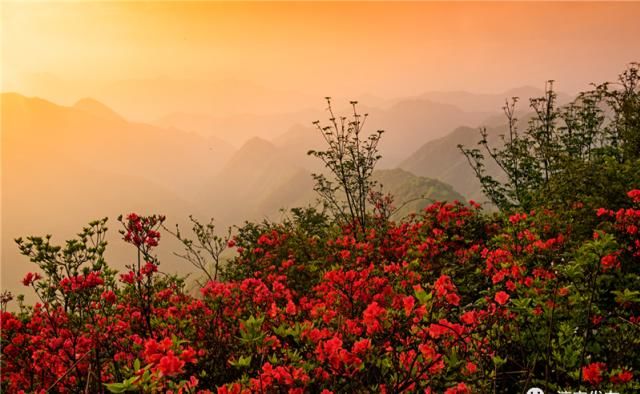 『枫树岭镇白马乳洞山』此景只应天上有!淳安这里美得“惊心动魄”……