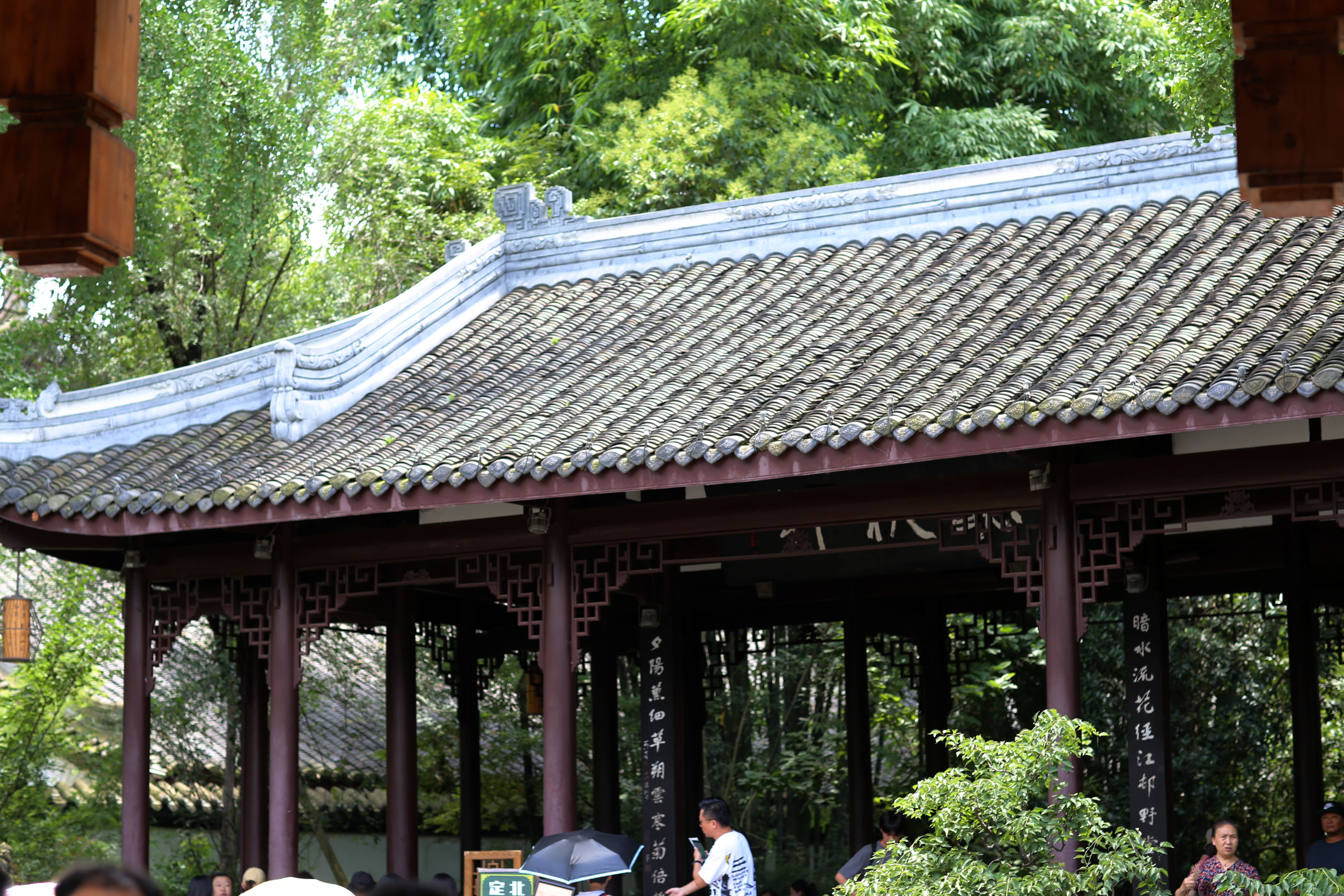 成都十二时辰，记旅行家红人天府之国”蓉城“游记