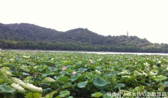 这是中国第一个不收费的5A景区, 平时游客不很多