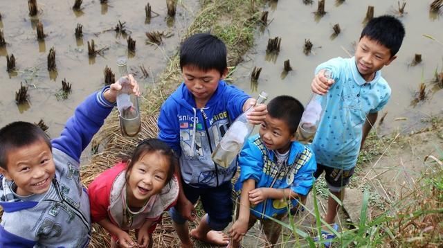  稻田■稻田除了种水稻，还可以开沟养这些东西，让农民的利润增加不少