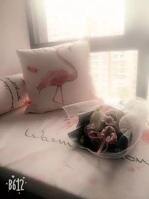 乐活家｜人人都想要的ins风到底是什么？糖糖家有！