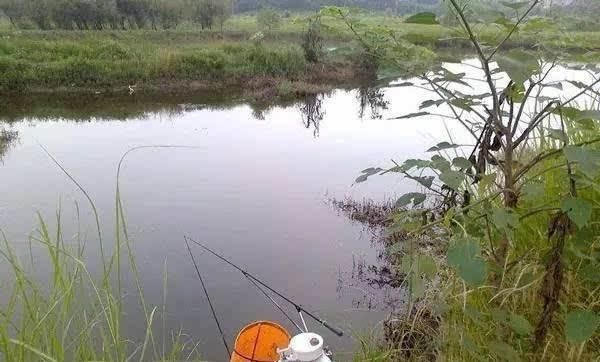  #投放窝料#为什么,给你机会都无法爆护!野外连竿的时候要注意这8点细节