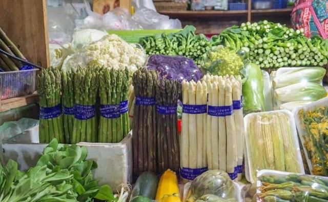  「采收」不能见光的经济作物，可连续采收10年，亩产1000斤，一