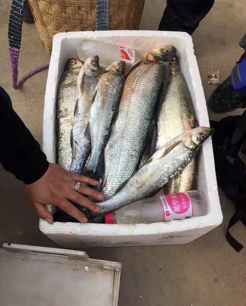  「泡沫箱」万峰湖真的是钓鱼人的天堂吗？