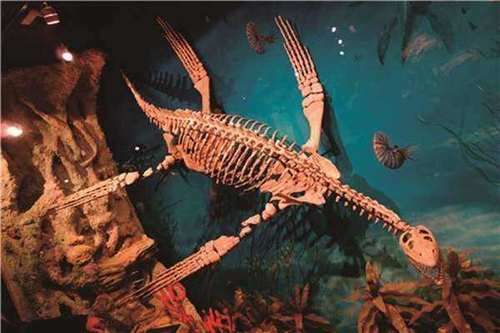 「生物大灭绝」如果灭绝恐龙的陨石没有撞上地球，现在的人类会是什么样子？