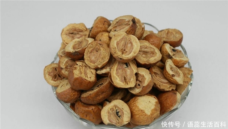  「果实」儿时摘来打弹弓，价值很高却少人知，如今农村很少见到