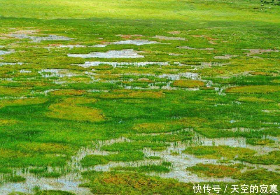  【绚烂】人间胜境香格里拉，藏着一座如水彩画般绚烂的宝藏公园，美如诗画