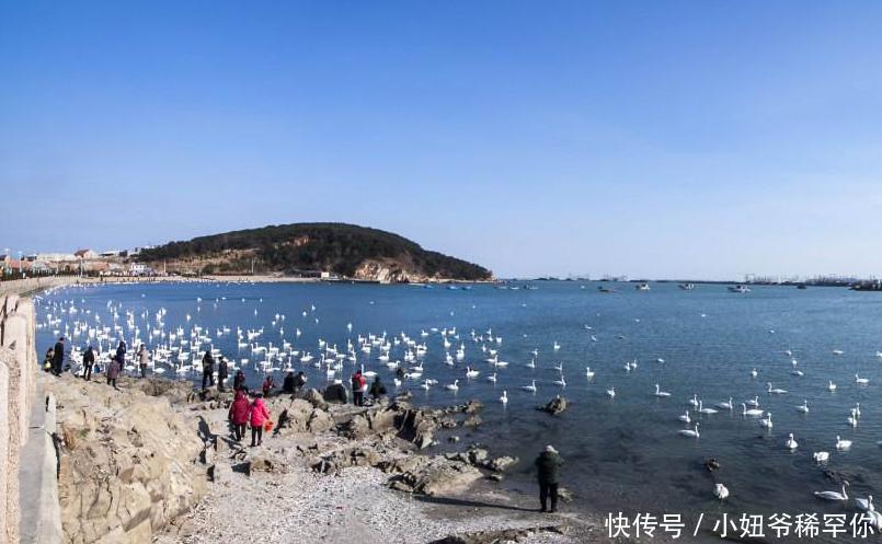 2020年海口人均GDP_海口公交司机刘盛进(3)