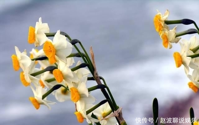 #对待感情#彼此相爱是这四大星座结婚的唯一前提