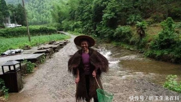  犁耙■在农村，这3个压箱底的老物件，如今弥足珍贵，大家见过几