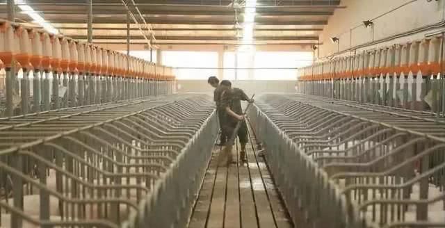  【陈生】2万月薪养猪？河南上市公司不差钱，给员工发奔驰200万