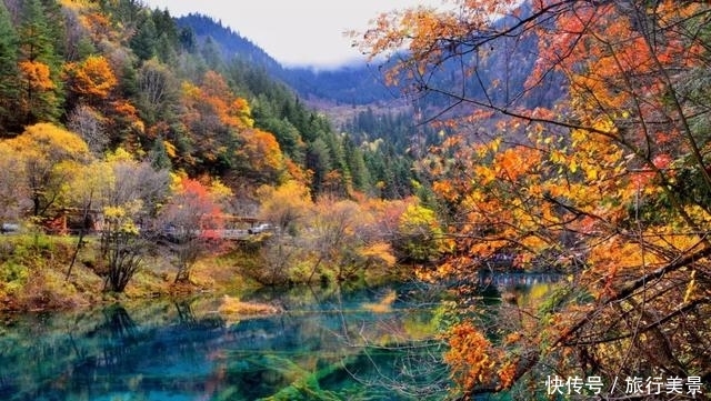 重磅消息！九寨沟国庆华丽回归！沉寂两年又将惊艳世人！