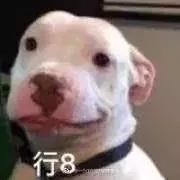 300万粉 or 查无此人？你关注的网红可以假到什么程度？