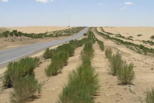  [宽达]最难修的沙漠公路，修建在流动沙丘上，绿化带宽达78米