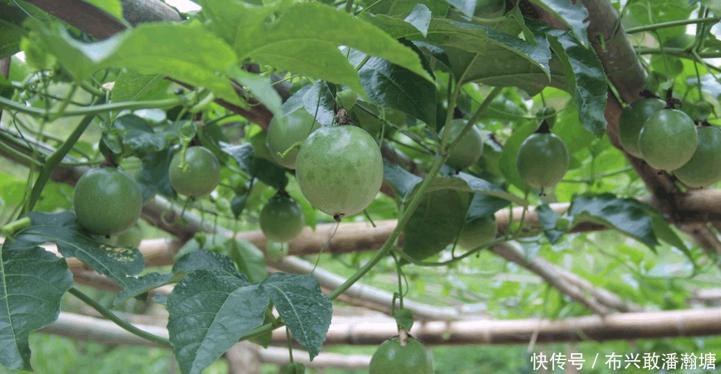 最适合划给广东的4个县, 湖南占一个, 江西占三个