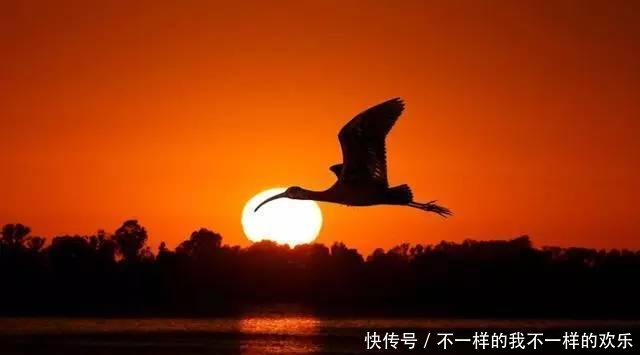 一篇《滕王阁序》竟有四十个成语，不愧是“天下第一骈文”